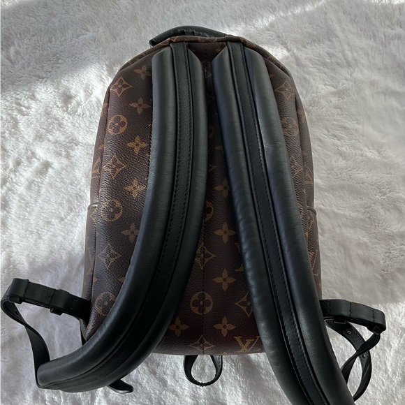 Louis Vuitton Palm Springs PM Monogram Backpack - Picture 6 of 14